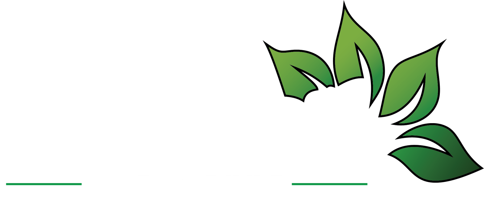 landscapingserviceslafayette.com