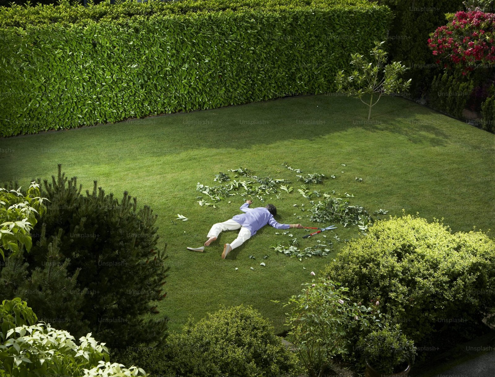 Lawn Renovation